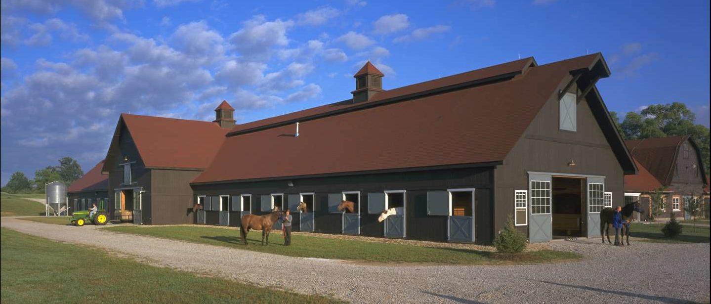 马的设施有几匹马从马厩的窗户和一个蓝色的天空.